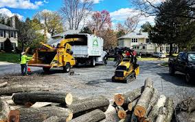 Best Arborist Consultation Services  in Mariemont, OH